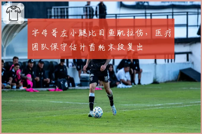 字母哥左小腿比目鱼肌拉伤，医疗团队保守估计首轮末段复出