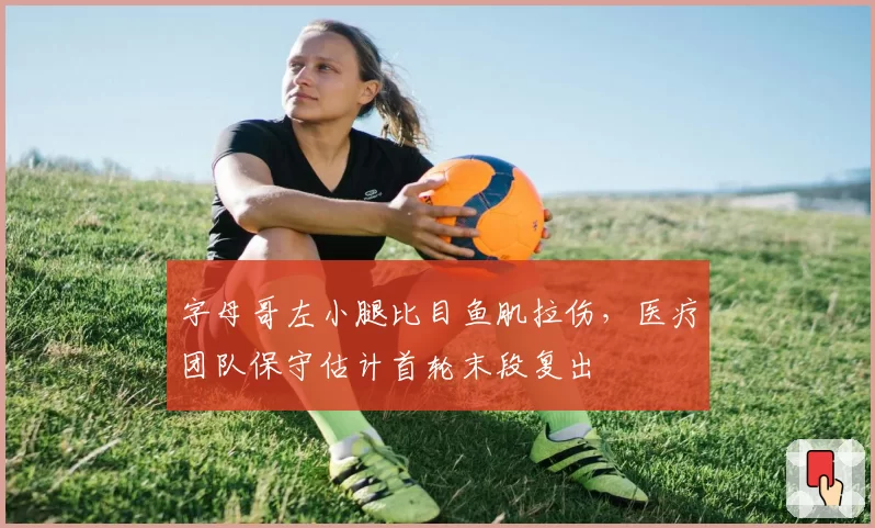 字母哥左小腿比目鱼肌拉伤,医疗团队保守估计首轮末段复出