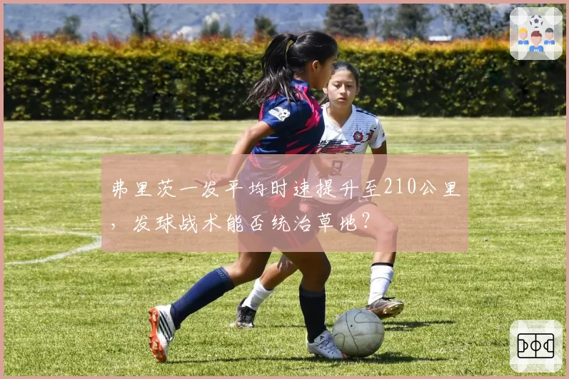 弗里茨一发平均时速提升至210公里,发球战术能否统治草地?